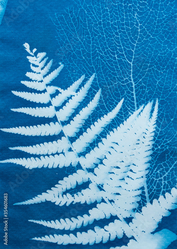 Cyanotype photography, solar photo, special photography method 