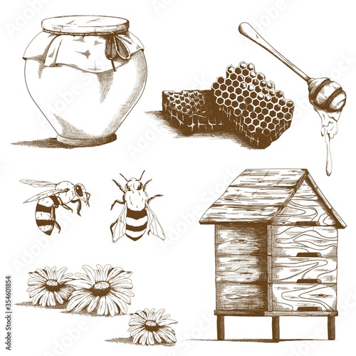 Hand drawn honey sketch elements. Vintage design sketches for flyers with bees, honeycomb and flowers isolated vector illustration. Organic food and natural product concept