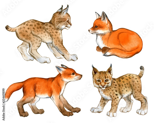 Hand drawn watercolor set of lynx and fox cubs isolated on a white background.