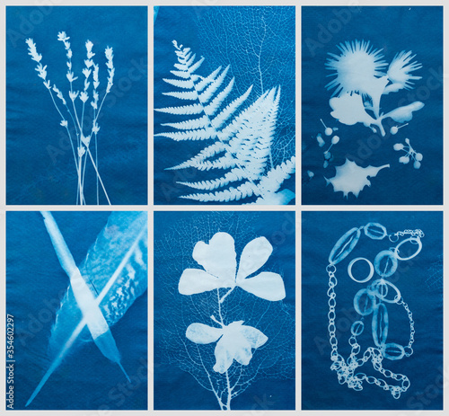 Cyanotype photography, solar photo, special photography method 