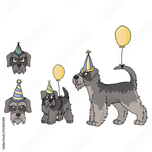 Cute cartoon schnauzer dog party set vector clipart. Pedigree kennel doggie breed. Purebred domestic puppy terrier for celebration illustration mascot. Isolated canine English breed. 