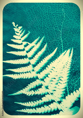 Cyanotype photography, solar photo, special photography method 