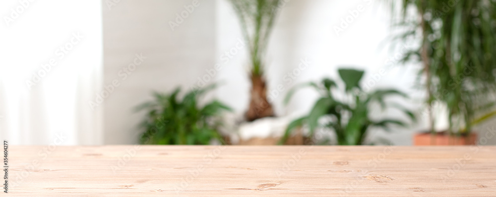 Houseplants at home.Wooden board. - obrazy, fototapety, plakaty 