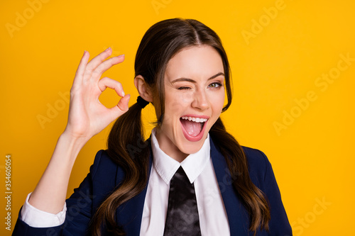 Portrait of positive excited high school teenager enjoy great scholar campus lecture show ok sign wink blink wear good look clothes isolated over bright shine color background