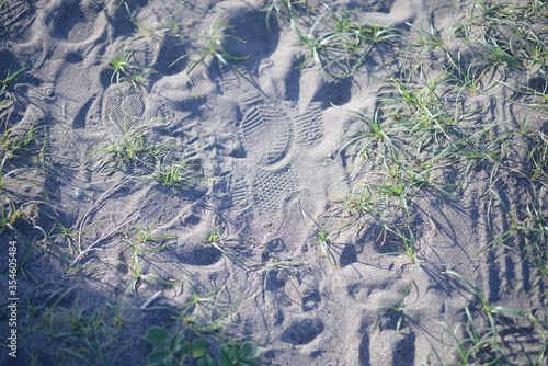 砂浜 雑草と足跡