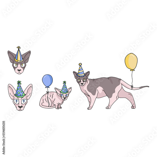 Cute cartoon sphynx cat party set vector clipart. Pedigree exotic breed for cat lovers. Purebred celebration for pet parlor illustration mascot. Hairless feline housecat.EPS 10