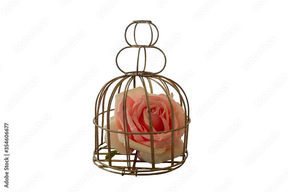 Pink rose in a cage