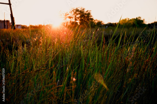 Sunset on the May rural field
