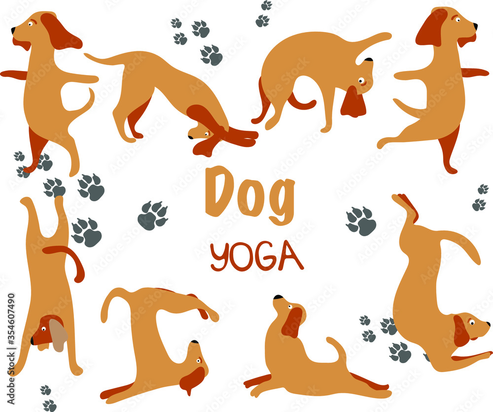 Collection hand drawn. Dog yoga. Transparent background. Vector