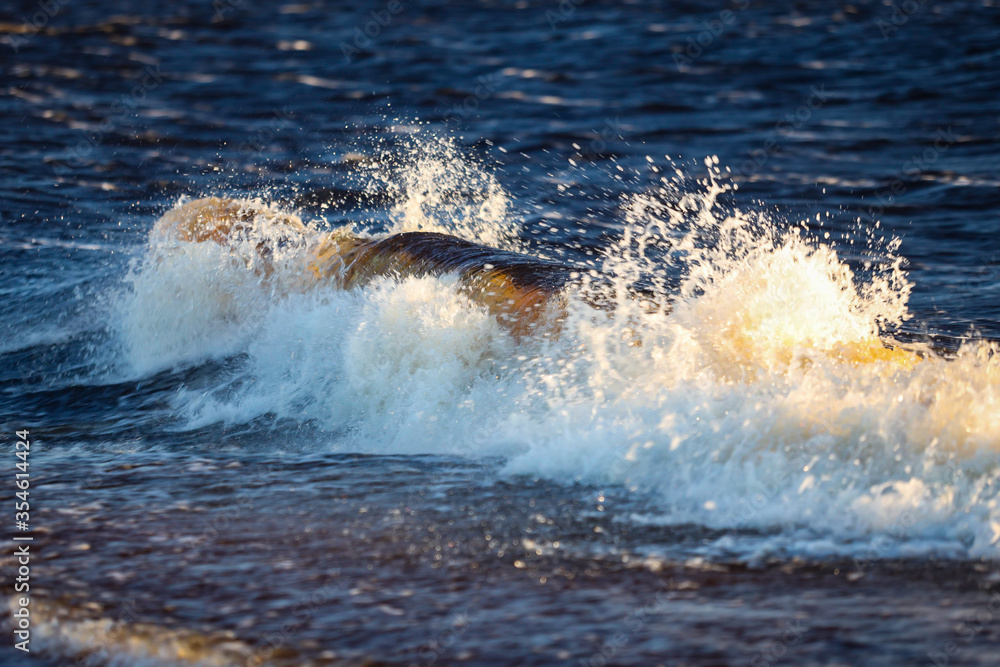 Shore seaside view of wave splash.
