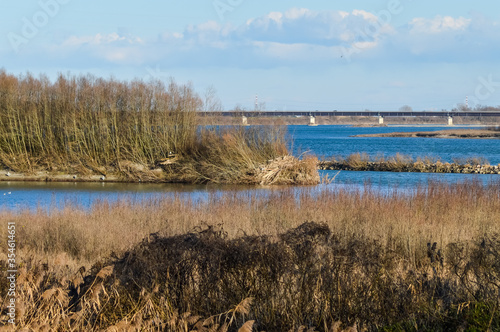 The Po river in autumn towards its delta mouth in the province of Rovigo  Italy