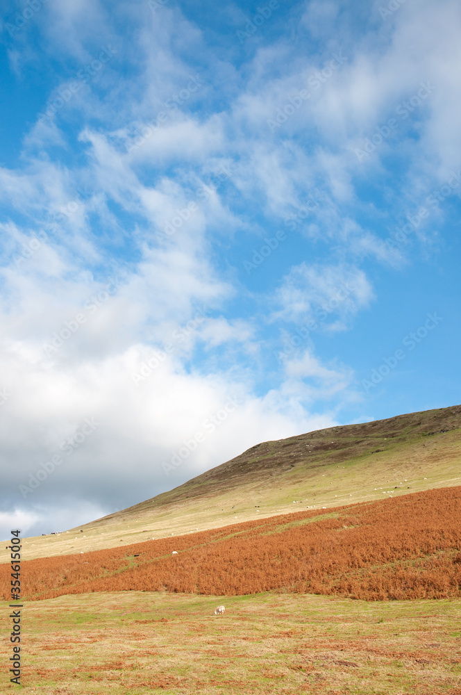 Fototapeta premium Autumn landscape in the Brecon beacons and Black mountains of the United Kingdom