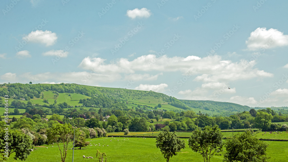 Summertime scenery in the Welsh hills of the United Kingdom
