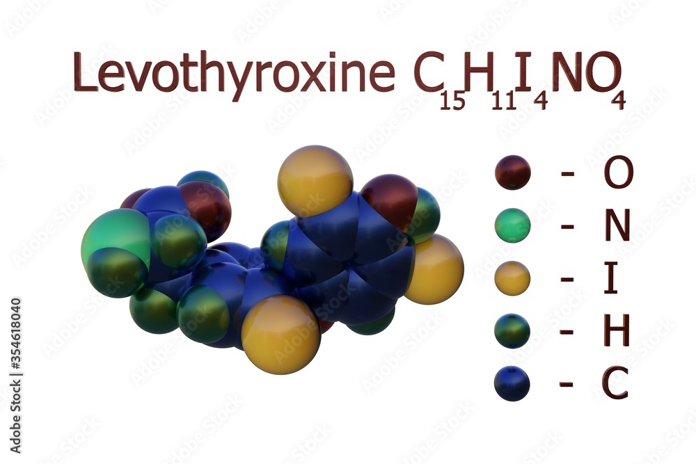 Space-filling molecular model of levothyroxine or l-thyroxine, a ...