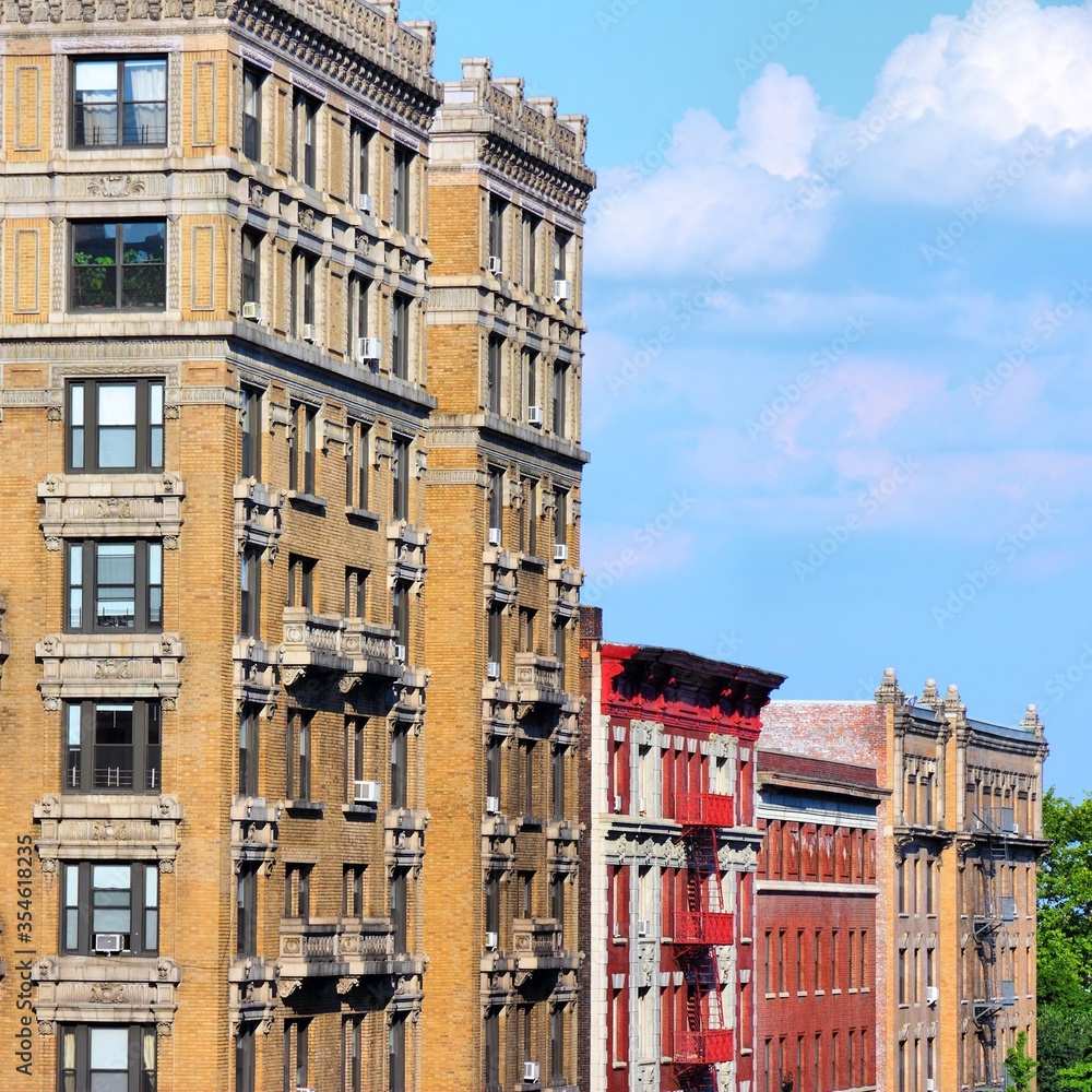 Naklejka premium New York education