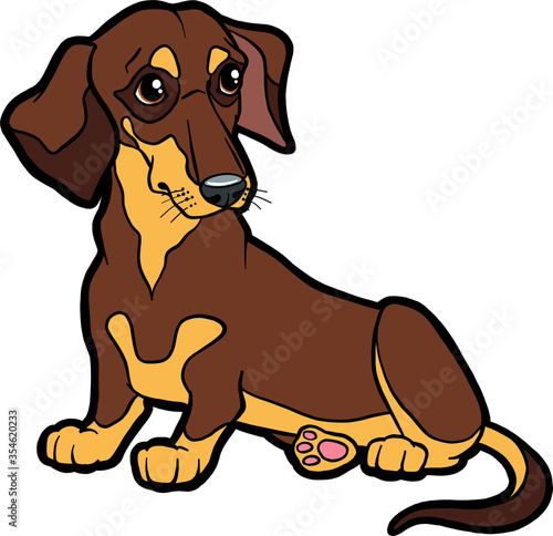 Cartoon character dog dachshund. Vector dog on isolated white background. Dachshund dog sticker  print  textile.
