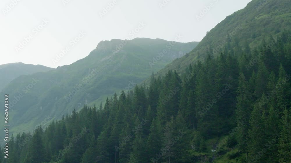 High altitude landscape in the summer. Pine tree forest High altitude landscape in the summer. Pine tree forest