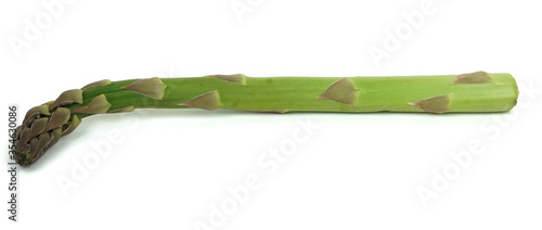 Asparagus isolatd on white