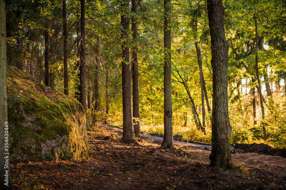 autumn romantic park view