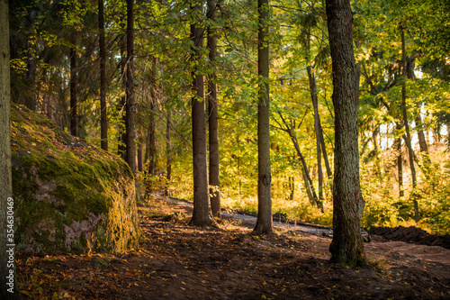 autumn romantic park view