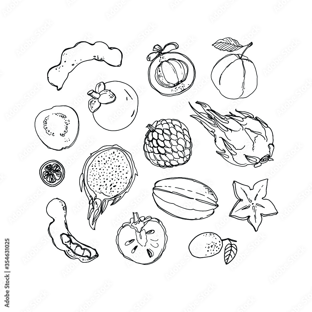 Flying exotic fruits on a white background. A sketch of food. Coconut, Physalis, mangosteen, pineapple, banana, jackfruit