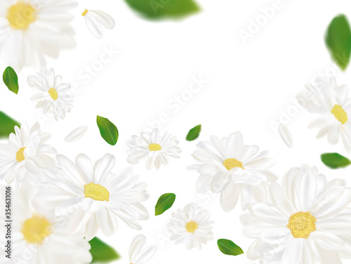 3D realistic chamomile with green leaf. White chamomile in motion. Beautiful flower background. Chamomile close up. Falling flower chamomile. Vector illustration