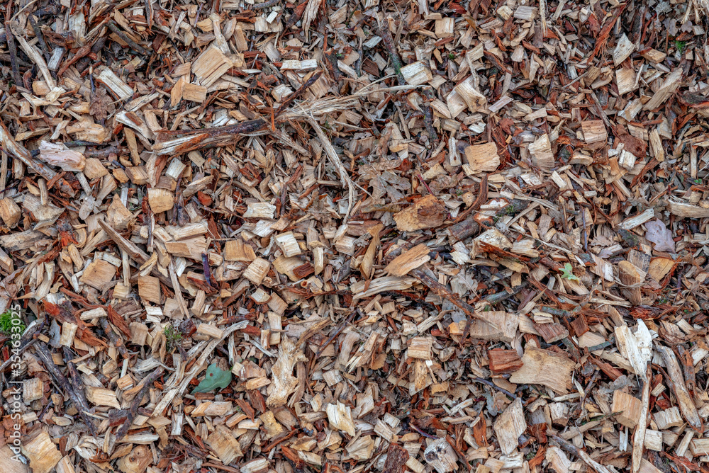 organic mulch background with wood chips bark and leaves