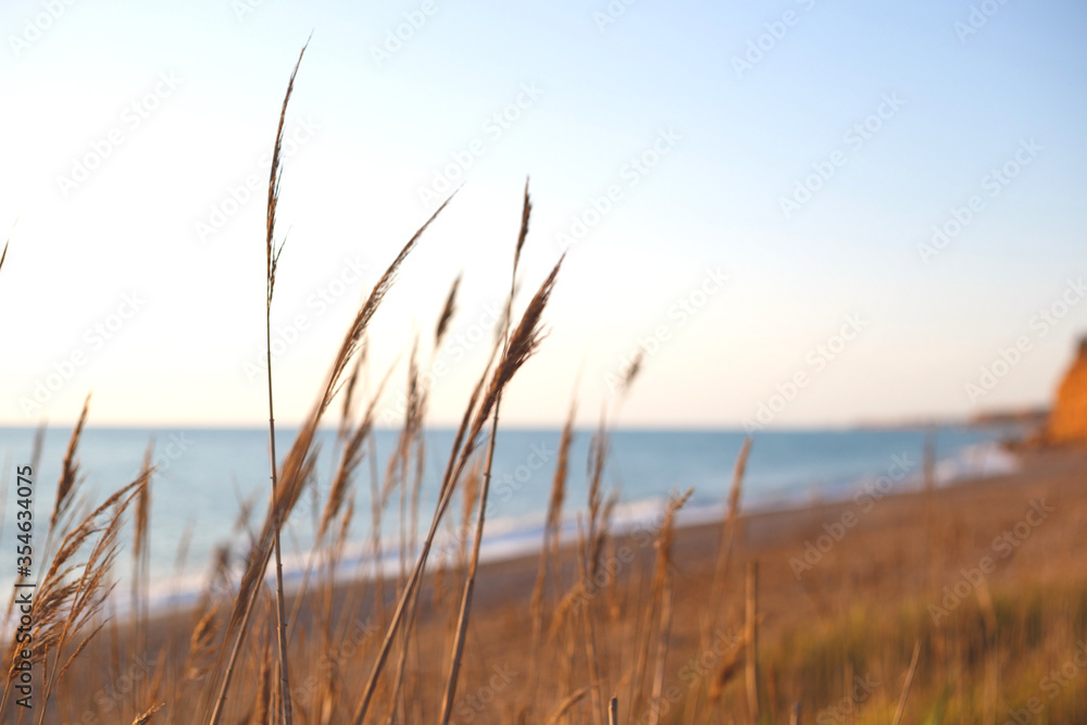 Fototapeta premium beautiful view of the sea and the sky at sunset