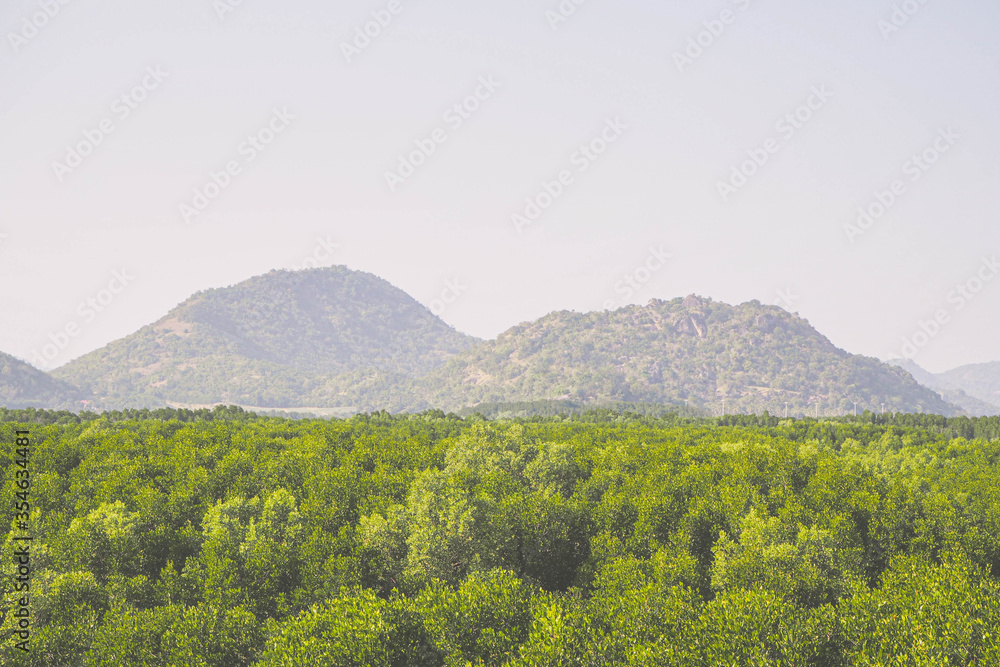 Fototapeta premium Aerial view of beautiful natural scenery river in mangrove forest and mountains in Phang Nga province Thailand