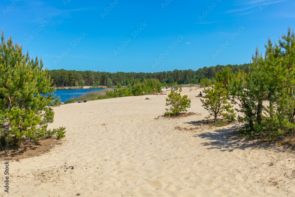 Deutschland, Urlaub Brandenburg, Bernsteinsee, Badestelle, beliebtester Badesee, Brandenburger strand, typischer brandenburger Badesee Urlaub im Land Brandenburg, Brandenburger Land Ferienzeit kiefern Deutschland, Urlaub Brandenburg, Bernsteinsee, Badestelle, beliebtester Badesee, Brandenburger strand, typischer brandenburger Badesee Urlaub im Land Brandenburg, Brandenburger Land Ferienzeit kiefern