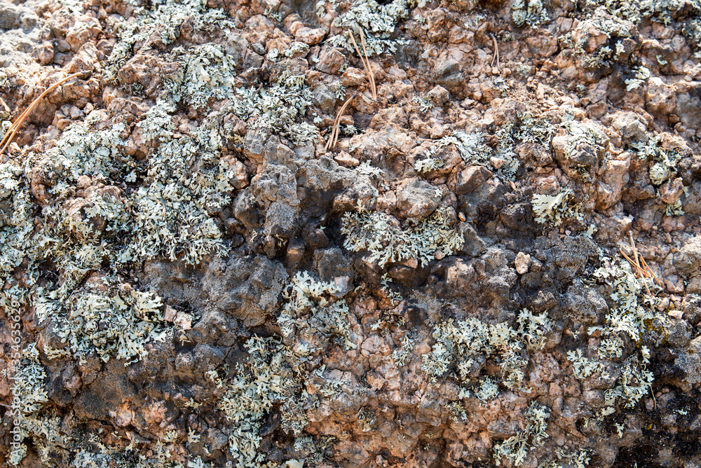 Background texture rock stone with moss Background texture rock stone with moss
