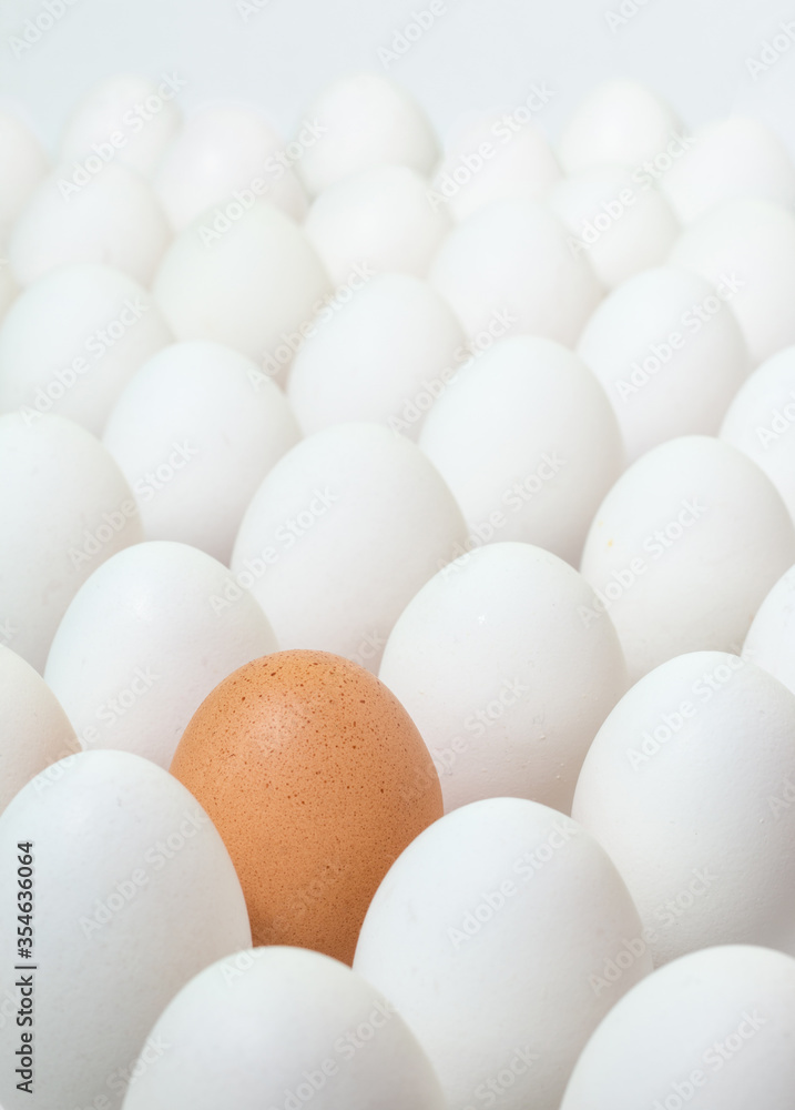 Egg brown among a multitude of white eggs. Difference concept. Egg brown among a multitude of white eggs. Difference concept.