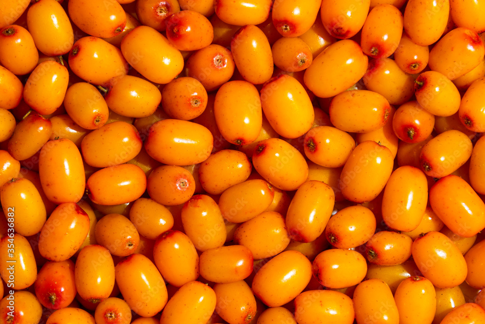 Juicy, ripe, organic sea buckthorn berries with lots of vitamins. Healthy food. Juicy, ripe, organic sea buckthorn berries with lots of vitamins. Healthy food.