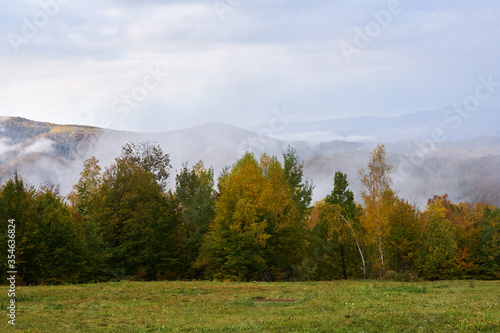 Fall landscape with colorful trees