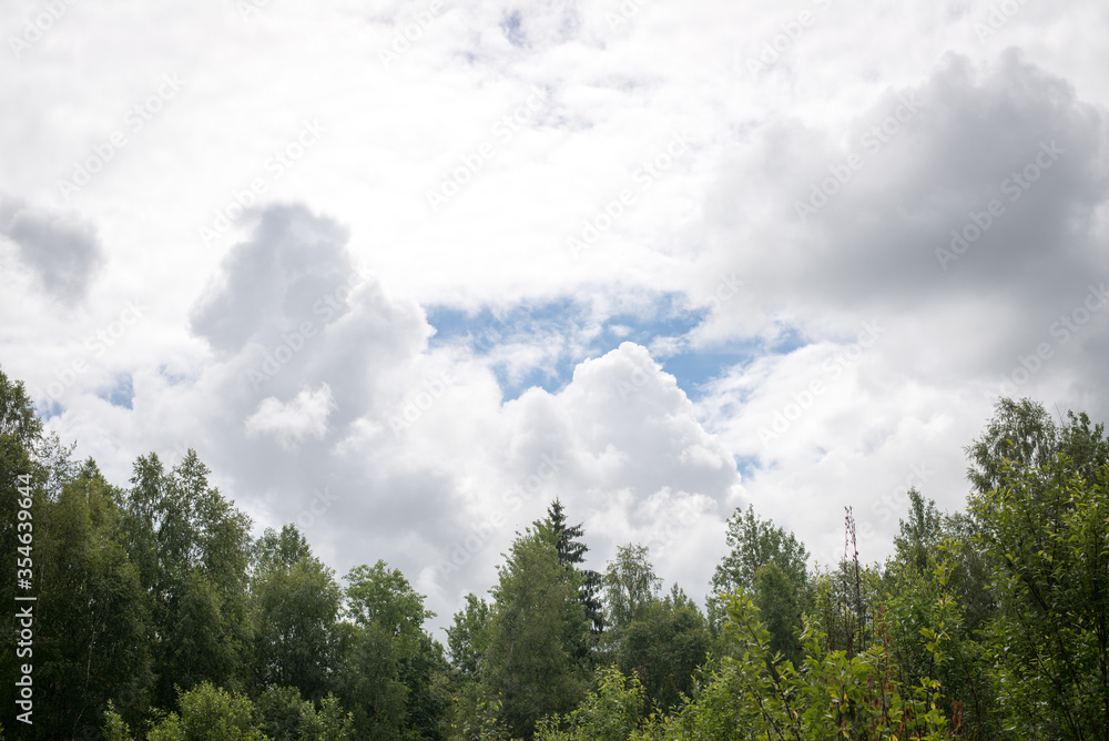 cloudy sky clouds after rain trees summer cloudy sky clouds after rain trees summer