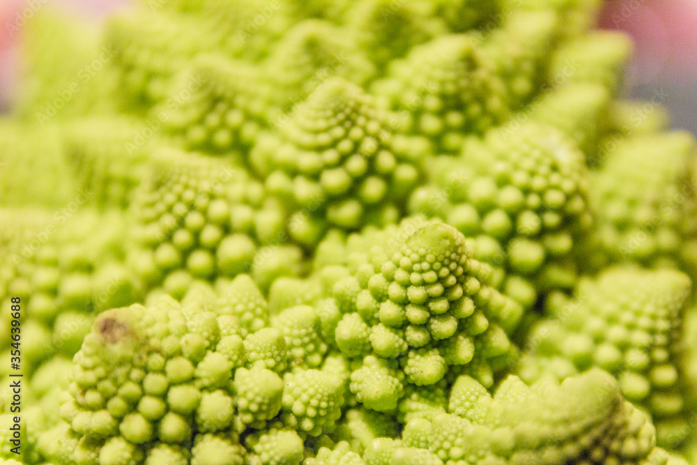 Close up of a green cabbage Close up of a green cabbage