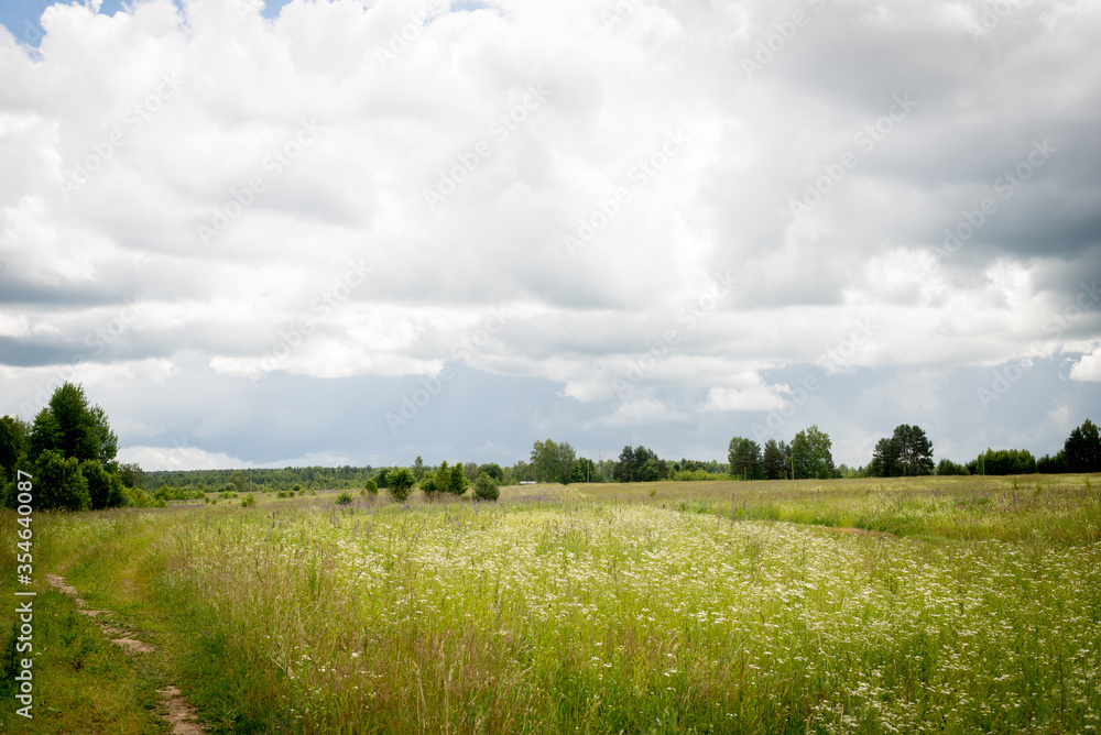 cloudy sky clouds after rain trees summer cloudy sky clouds after rain trees summer
