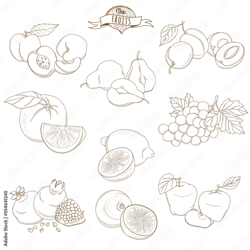 Set of Outline hand drawn fruits with leaves( apple, pear, apricot, plum, orange, lemon, grape, pomegranate, grapefruit, peach) Set of Outline hand drawn fruits with leaves( apple, pear, apricot, plum, orange, lemon, grape, pomegranate, grapefruit, peach)