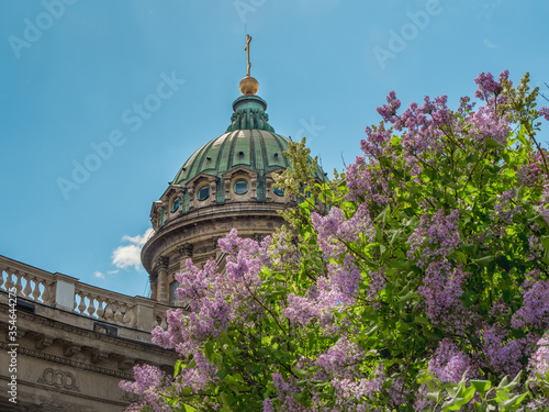 The summer scenic with Kazan Cathedral in lilac flowers, iconic landmark in St. Petersburg