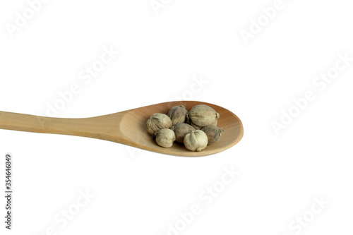 Dried Cardamom / cardomum / Amomum testaceum on wooden spoon, isolated in white background. 