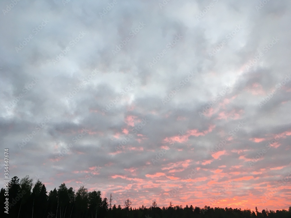 Fototapeta premium sunset over the forest