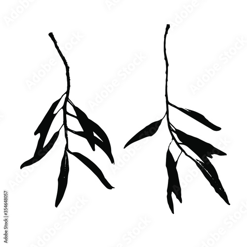 Imprints of osier tree leaves. Leaves and tree branches set. Black prints of natural leaves. Suitable for botanical design, print, postcard, pattern. Vector illustration.