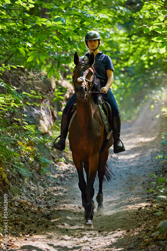 jeune fille cavalière adolescente montant un cheval pur-sang irlandais brun faisant une randonnée équestre en forêt en Belgique au printemps  © mariesacha