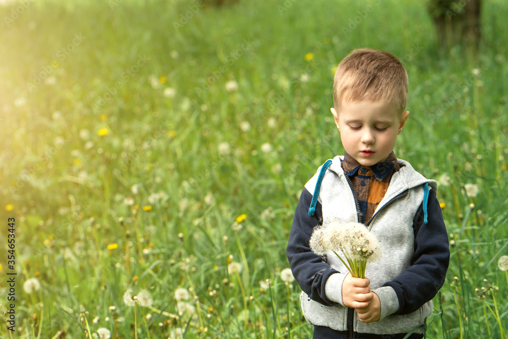 Cute boy with blond hair on a walk. A boy with a dandelion in his hands. Cute boy with blond hair on a walk. A boy with a dandelion in his hands.