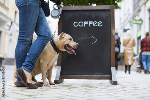 Wall Mural Woman with a dog stand next to a billboard with the inscription coffee on the street in city