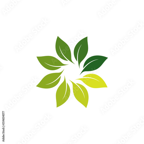 Leaf logo vector design template