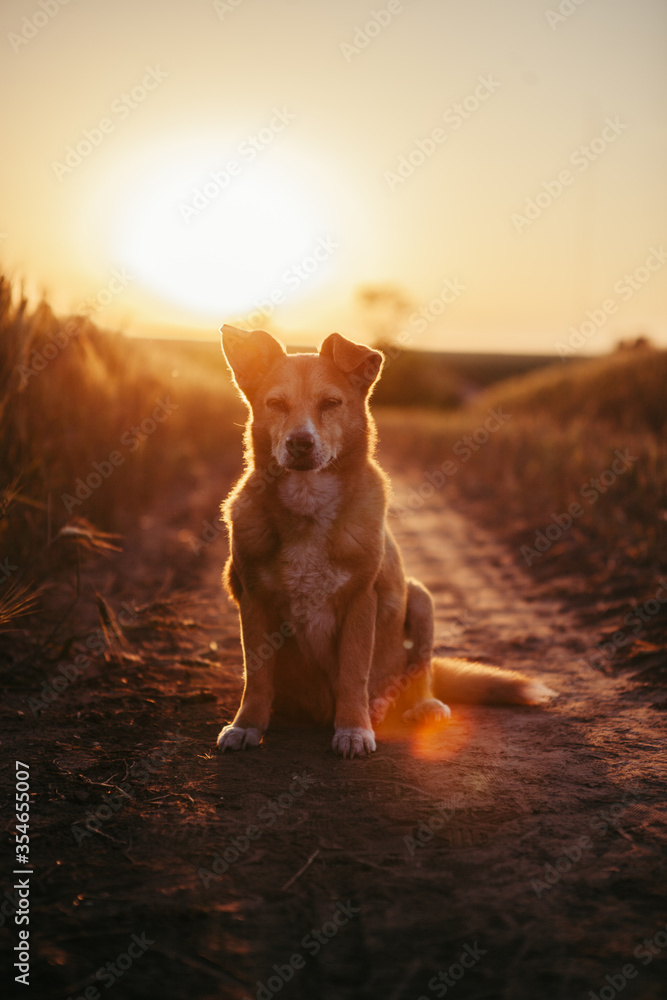 Adventure in nature Adventure in nature