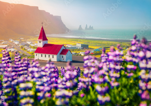 Wonderful morning view of Vikurkirkja (Vik i Myrdal Church) with Reynisdrangar on background, Vik location. Stunning summer scene of Iceland with field of blooming lupine flowers. Travel to Iceland. © Andrew Mayovskyy