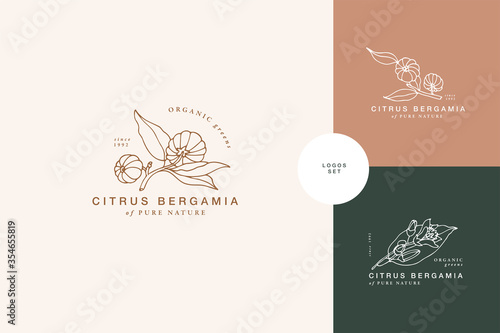 Vector illustration citrus bergamia branch - vintage engraved style. Logo composition in retro botanical style.