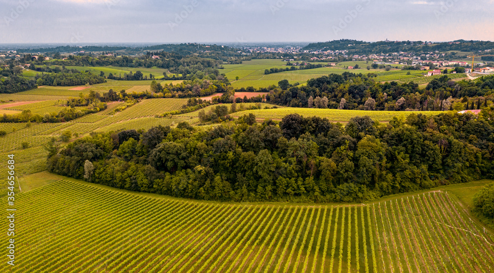 Rural Scene, mountains landscape at sunset. Vineyard in Italy. Aerial landscape. Drone panoramic scene.